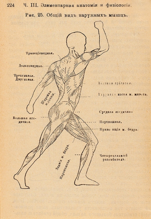 Наставление для обучения войск гимнастике. Пг., 1915.