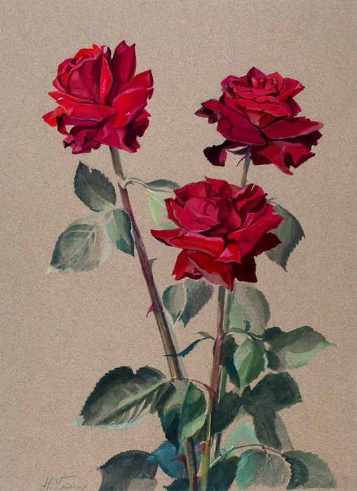 Гольц Ника Георгиевна (1925–2012) «Розы». 1970-е. Бумага, гуашь, 37,5x27 см.