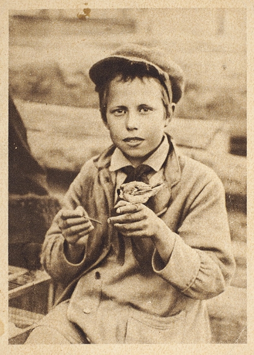 Пять открыток с портретами и фотографиями узбекских и туркменских детей. М., [1920-е гг.].