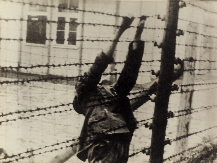 [Ужас фашистских концлагерей] Лот из 29 фотографий. Б. м., [1940-е гг.].