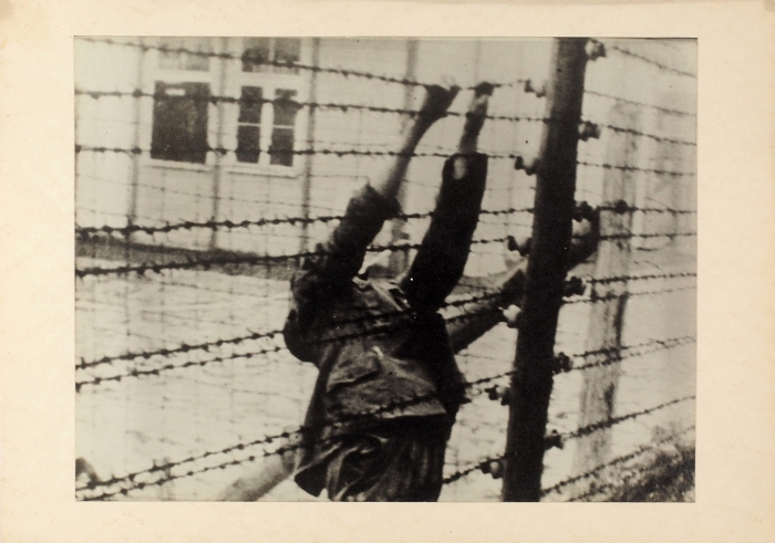 [Ужас фашистских концлагерей] Лот из 29 фотографий. Б. м., [1940-е гг.].