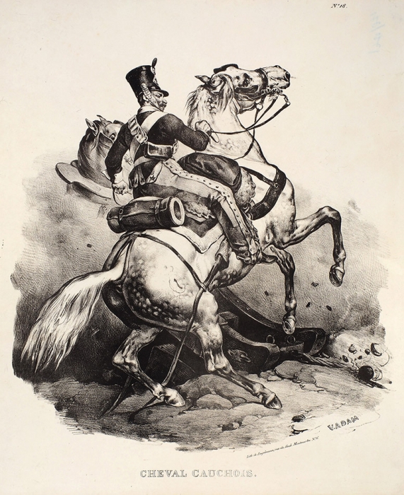 Адам Виктор (Victor Jean Vincent Adam) (1801-1866) «Лошадь Кошуа». 1830. Бумага, литография, 41,2x34,3 см.