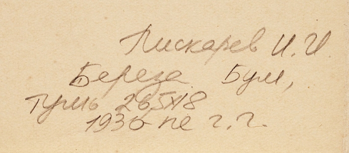Пискарев Николай Иванович (1892–1959) «Береза». 1933. Бумага, гризайль, проскребание, 26,5x18,4 см.
