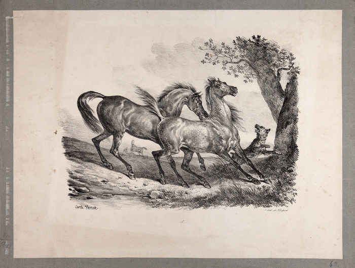 Delpech по оригиналу Верне Карла Антуана Шарля Ораса (Carle Vernet) (1758–1835) «Скакуны». Середина XIX века. Бумага на картоне, литография, 37,3x49,3 см.