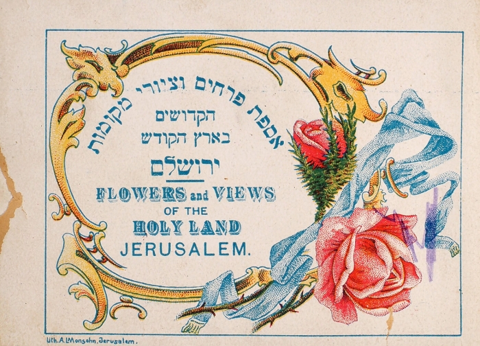 Цветы и виды Святой Земли. [Flowers and Views of the Holy Land]. Иерусалим, [1900-е гг.].