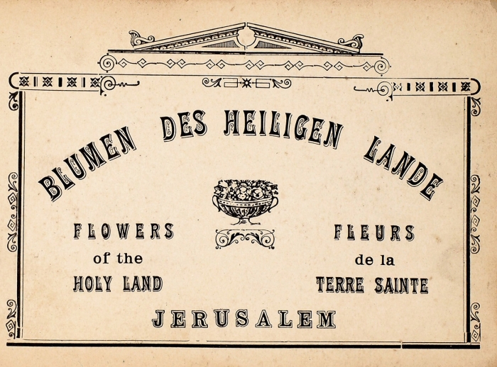 Цветы Святой Земли. Иерусалим, [1900-е гг.].